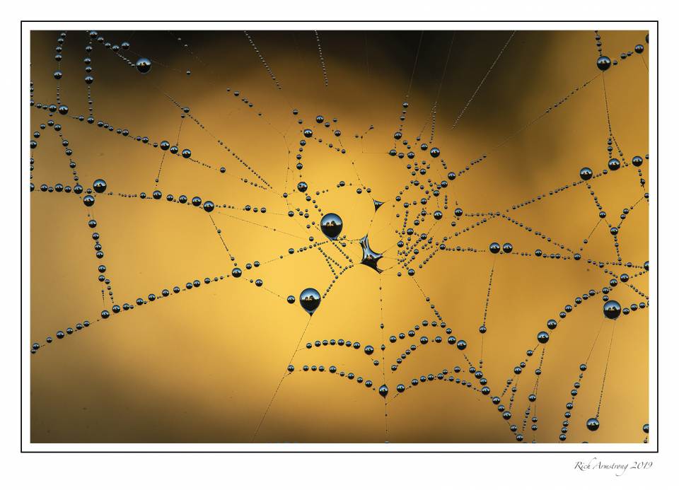 spiderweb sunrises.jpg